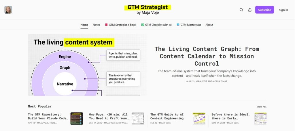 Skærmbillede af websiden for GTM Strategist